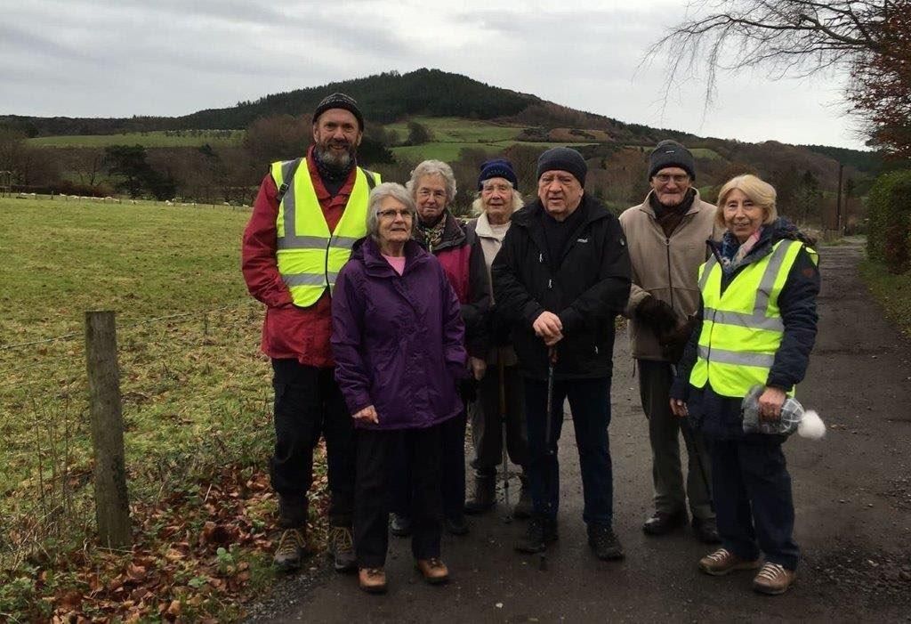 Group of walkers on a country lane